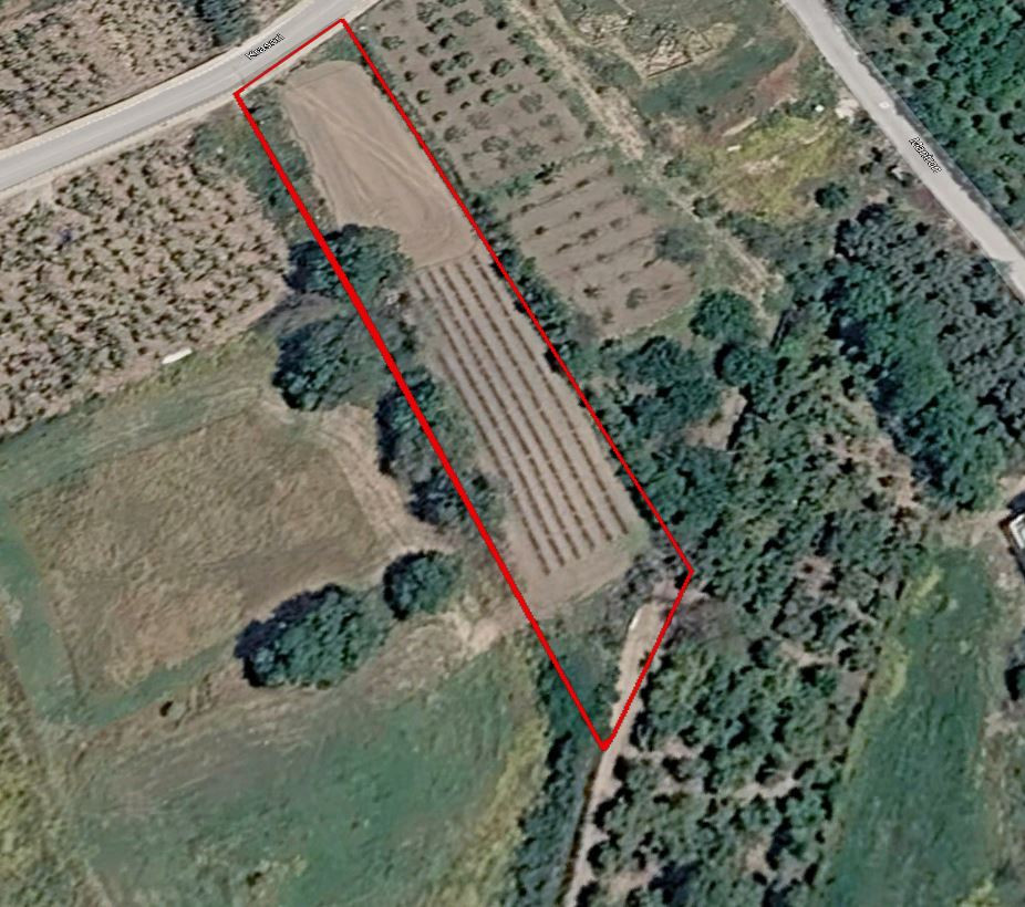 Land in Kissonerga, Paphos
