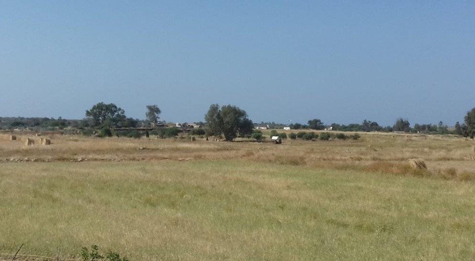 Land in Liopetri, Famagusta