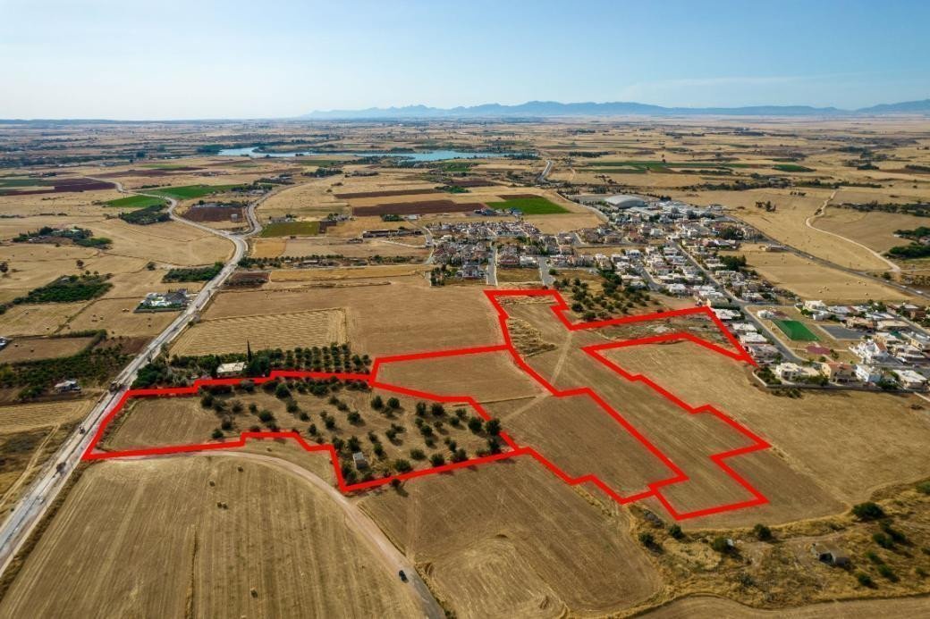 Land in Avgorou, Famagusta