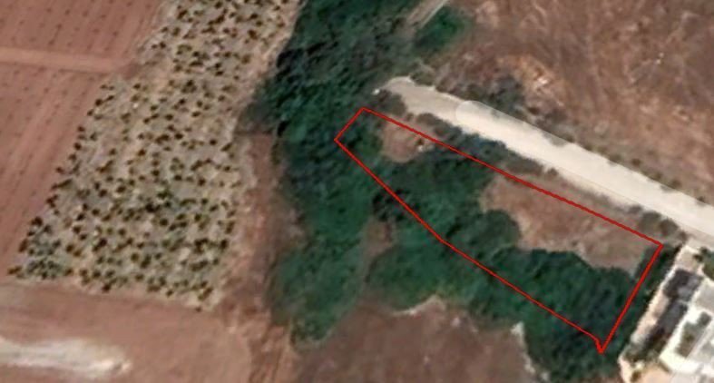Land in Peyia, Paphos