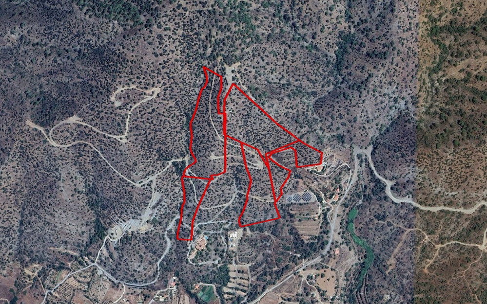 Land in Foinikaria, Limassol