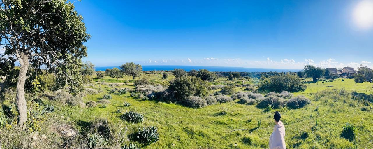 Land in Pissouri, Limassol