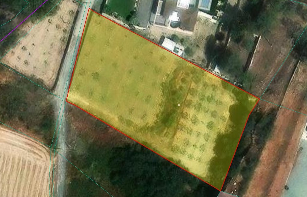 Land in Moni, Limassol